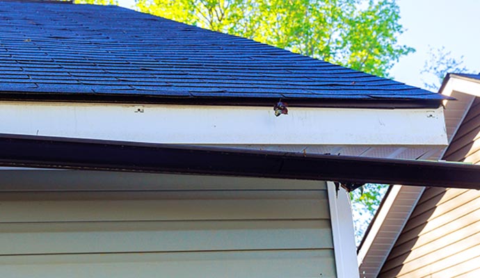 Clogged Gutter
