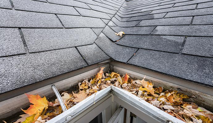 Clogged rain gutter with fallen leaves