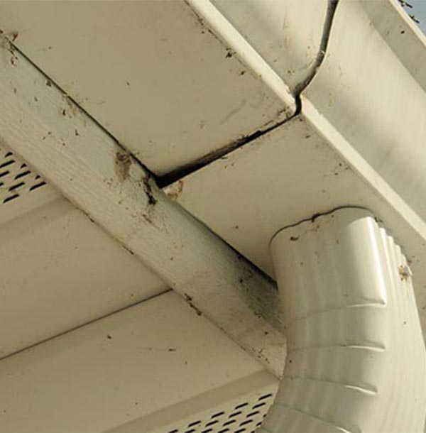 Damaged gutter Damaged gutter