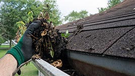 Gutter Cleaning