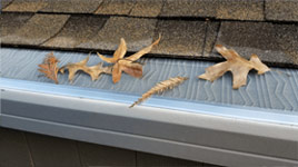 Leaves on Gutter Guards