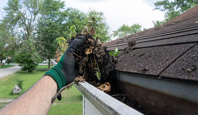 gutter cleaning service