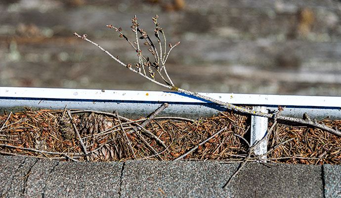 Clogged gutter twigs blocking outlets