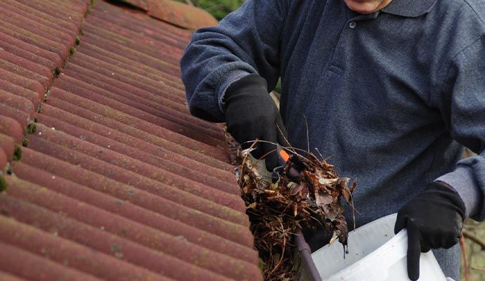 Expert cleaning debris and twigs from a residential gutter