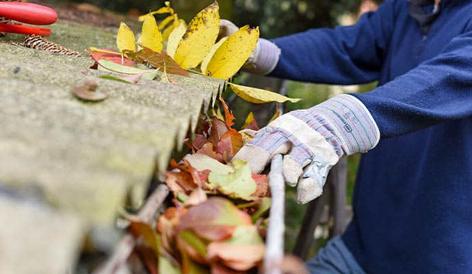 Person cleaning seasonal leaves from gutter