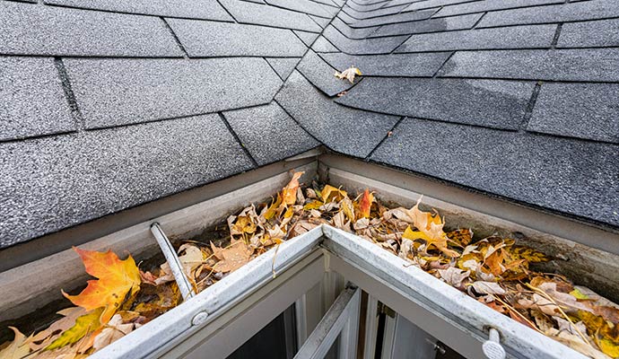 Roof gutter clogged with fallen autumn leaves and debris
