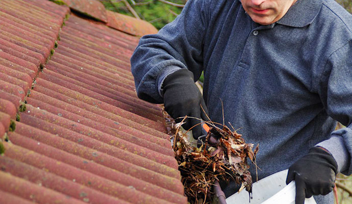 Technician clearing dry seasonal leaves from a roof gutter