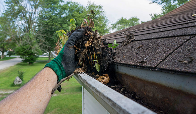 Technician removing wet leaves and debris from a roof gutter