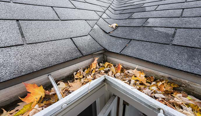 Gutter filled with autumn leaves