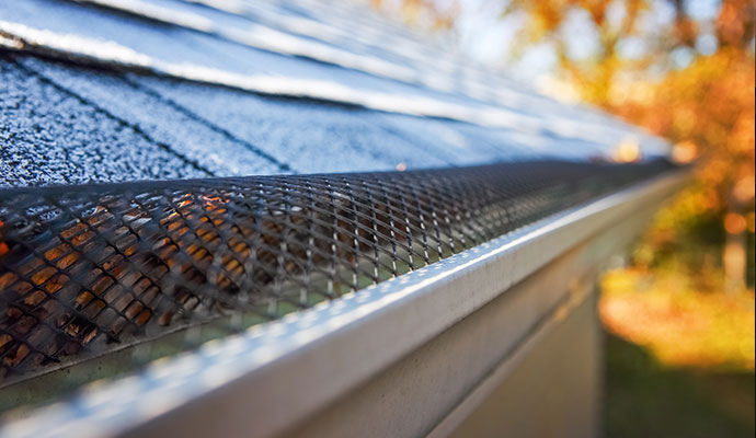Gutter screen protection close-up
