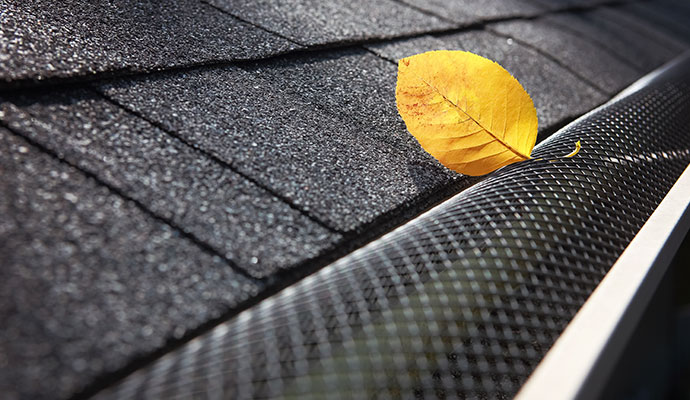 Yellow leaf on reverse curved gutter screen