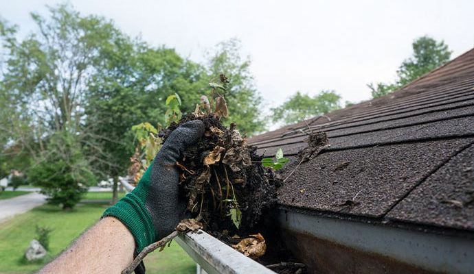 Professional gutter cleaning service