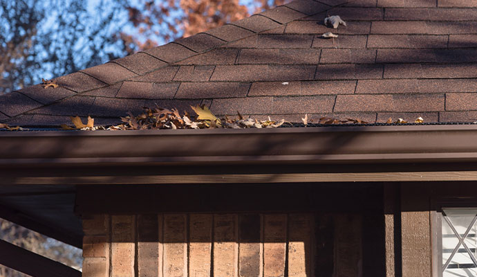 Brown roof shingles gutter leaves