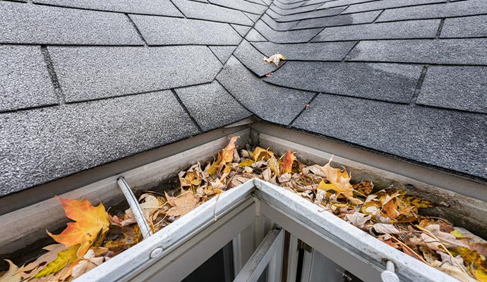 Clogged roof gutter with leaves
