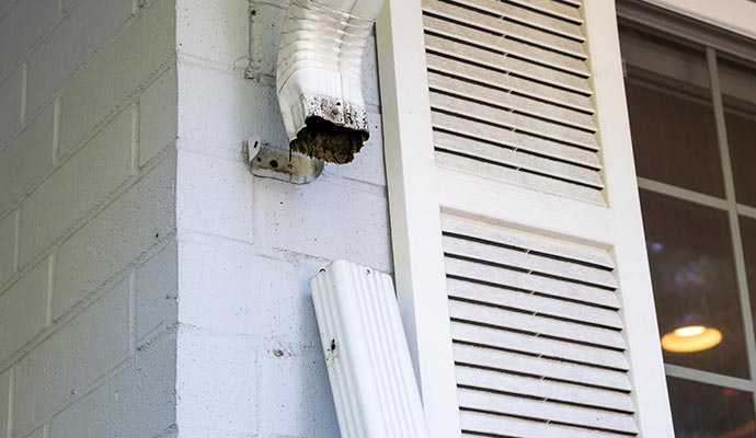 Downspots disconnected from wall