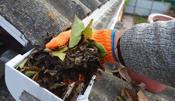 Professional cleans debris from gutter