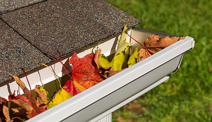 Roof gutter with fall leaves