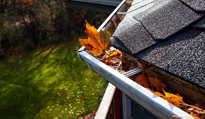 Gutter with clogged drainage