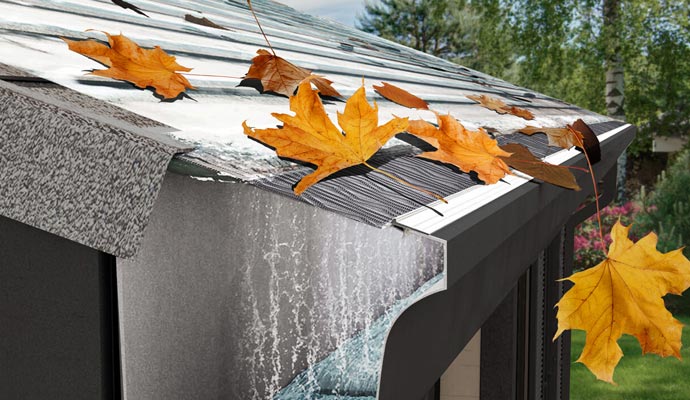 Installed gutter guard