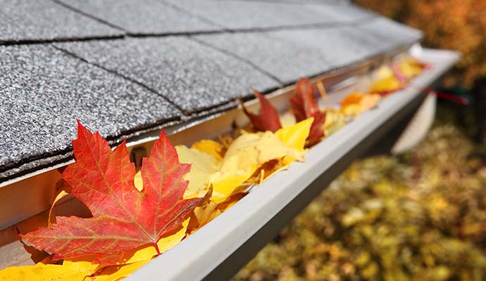 Leaves on the gutter