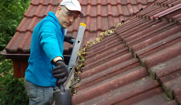 Professional gutter cleaning service