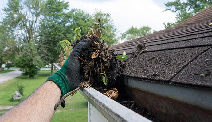 Professional worker cleaning gutter