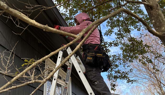 Professional gutter cleanup service
