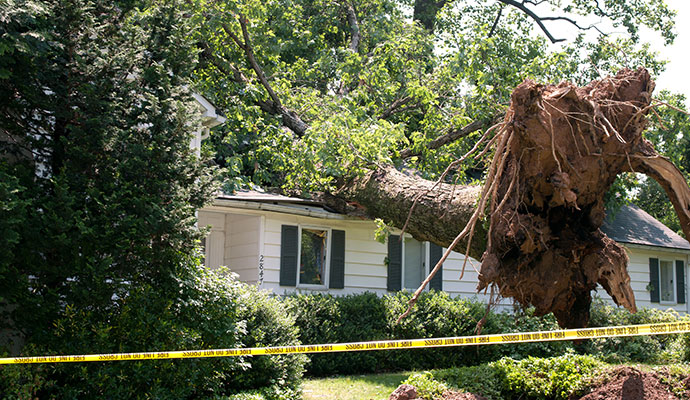 Storm Damage, Insurance & Gutters