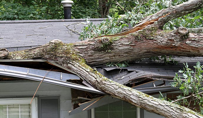 Professional Storm Damage Repair in Raleigh and Wake Forest